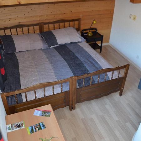 Logement Chez L'Habitant Etage Independant Grône المظهر الخارجي الصورة